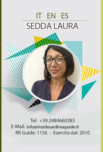 Sedda