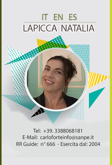 Lapicca