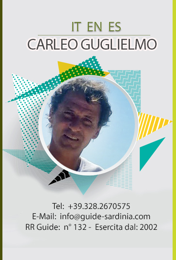 Carleo Guglielmo