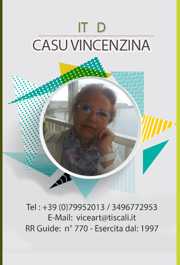  casu vicenzina