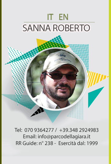 Sanna Roberto